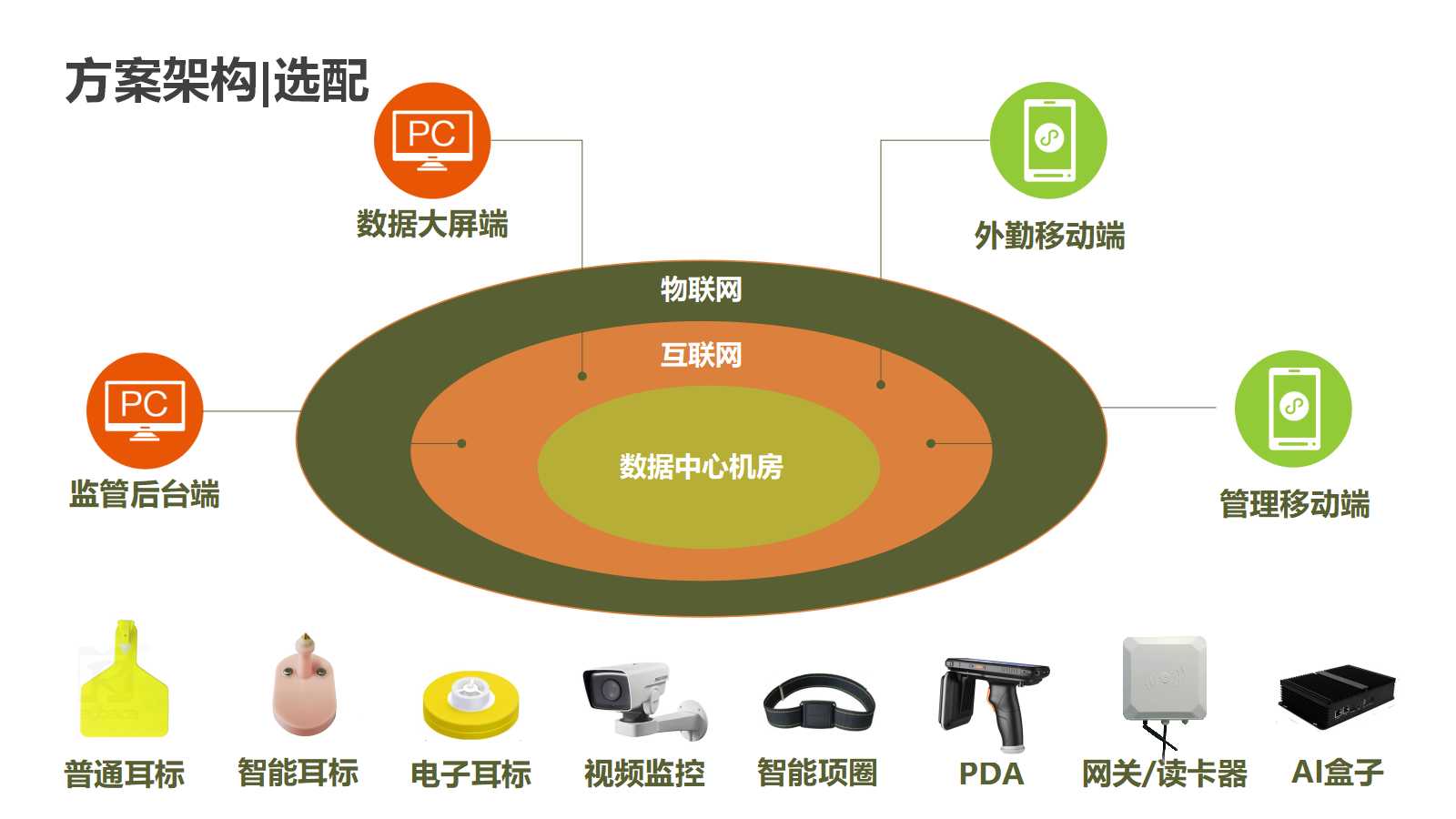 任你选高大的或矮小的绿植养在阳台